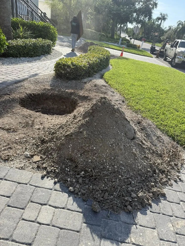 Reliable outdoor landscaping in St. Petersburg, FL by Nicko Tree service And Landscaping