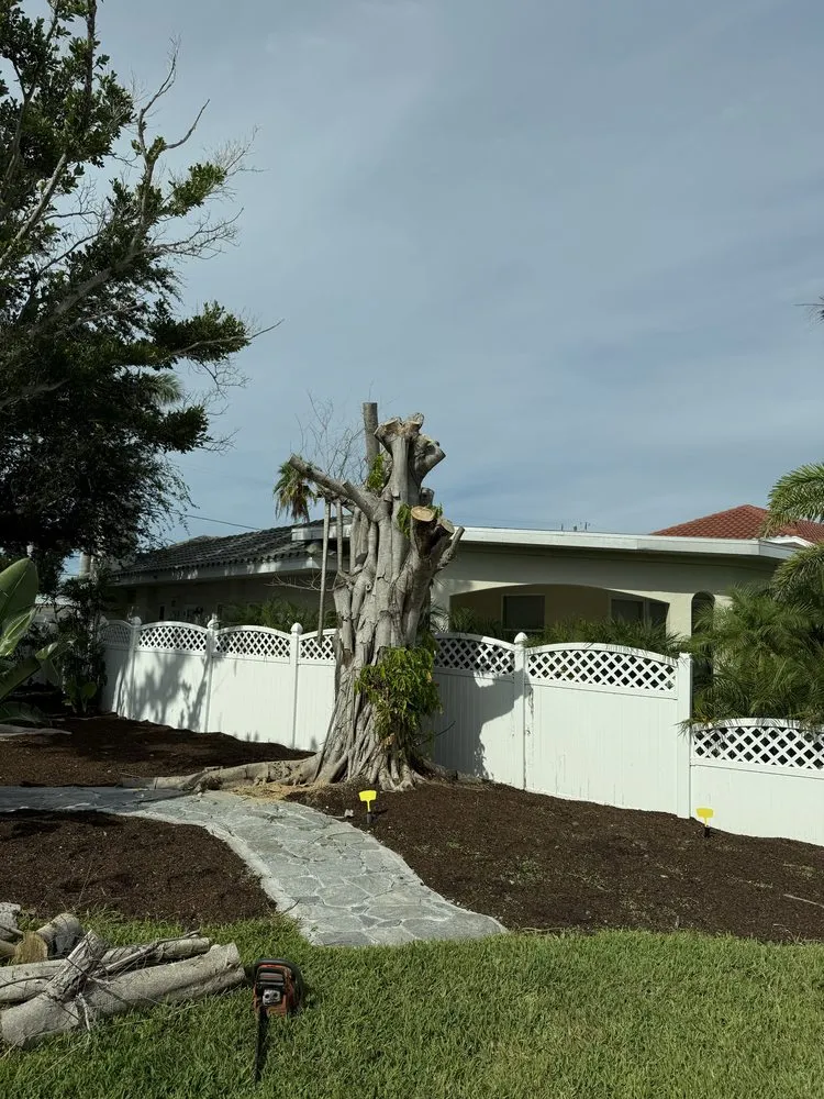 Local yard maintenance near you in St. Petersburg, FL by Nicko Tree service And Landscaping