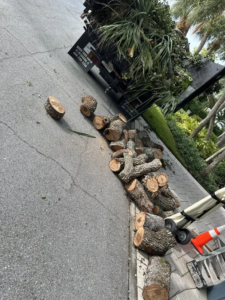 Expert residential landscaping experts serving St. Petersburg, FL - Nicko Tree service And Landscaping