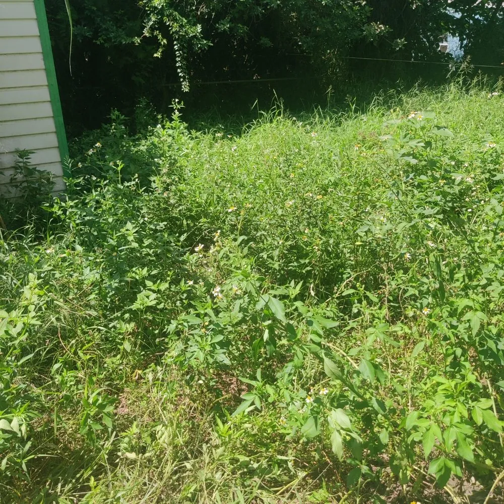 Affordable garden landscaping in Polk City, FL - Nick's Central Florida Lawn Care