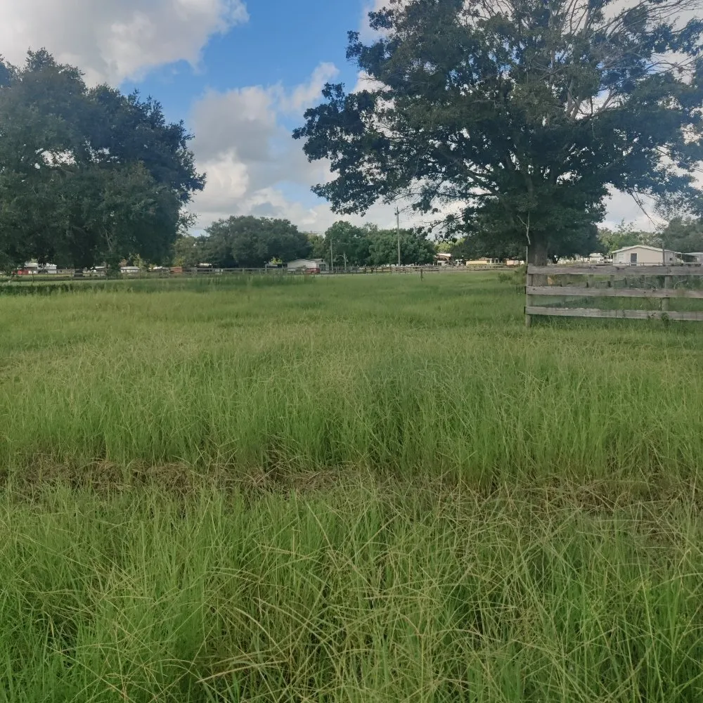 Trusted landscape design in Polk City, FL by Nick's Central Florida Lawn Care