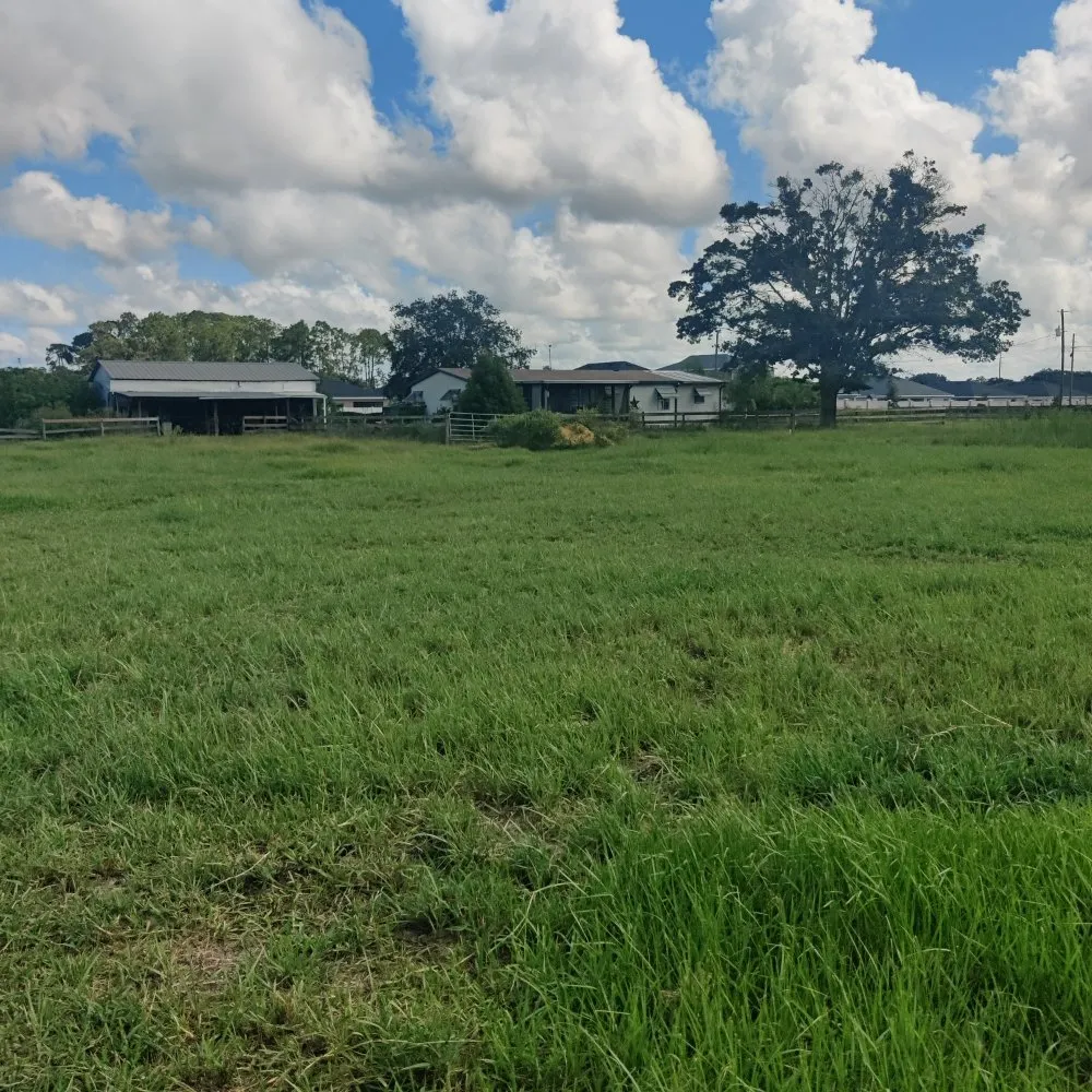 Affordable landscape installation for outdoor upgrades across Polk City, FL - Nick's Central Florida Lawn Care