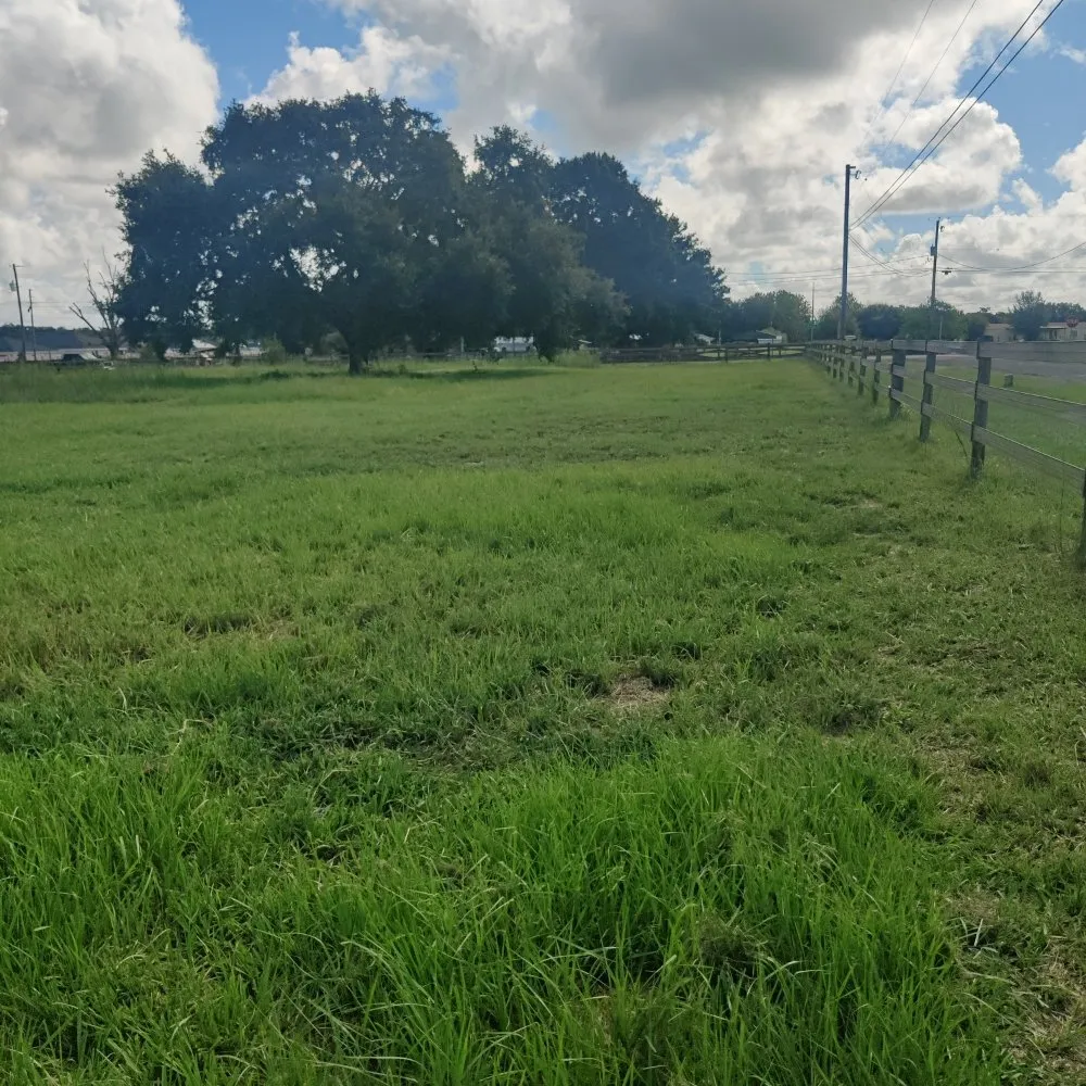 Expert garden landscaping in Polk City, FL by Nick's Central Florida Lawn Care