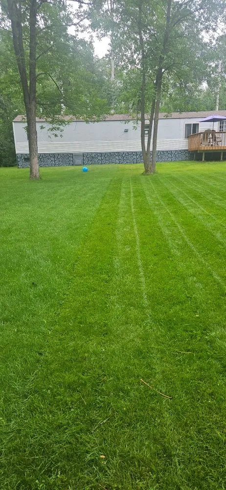 Reliable yard cleanup service with custom design across Baxter, MN - Nick's Cleaning and Restoration