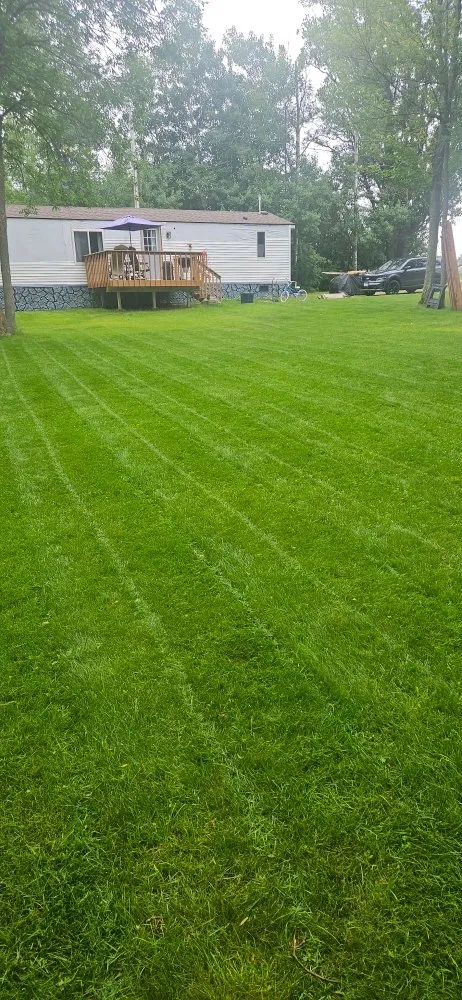 Top-rated landscape design experts serving Baxter, MN - Nick's Cleaning and Restoration
