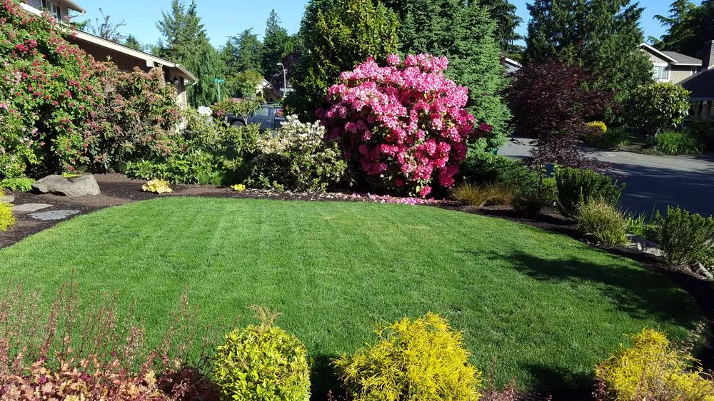Expert yard maintenance for year-round maintenance across Seattle, WA - Nick's Eastside Landscaping