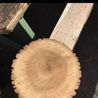 Local yard cleanup service experts serving Deptford, NJ - Nicks Family Garden Center