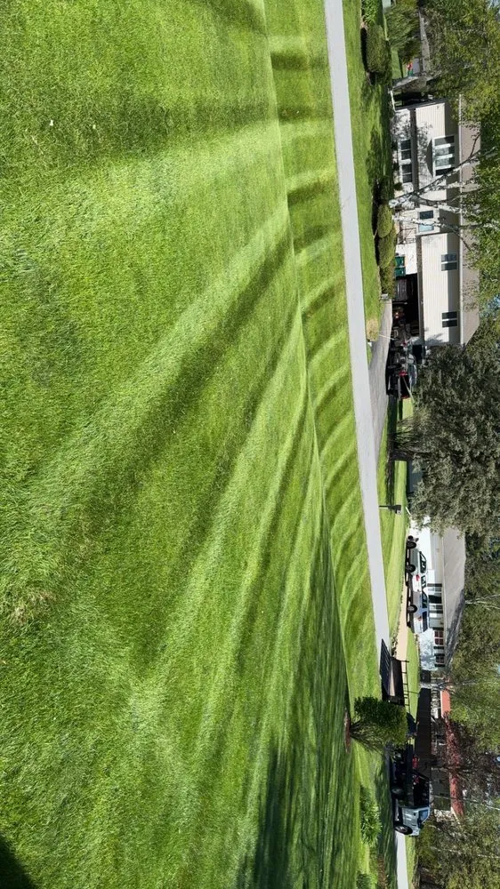 Reliable yard maintenance in Madison, WI - Nicks Handy Services