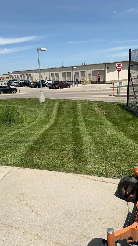 Expert yard maintenance experts serving Madison, WI - Nicks Handy Services