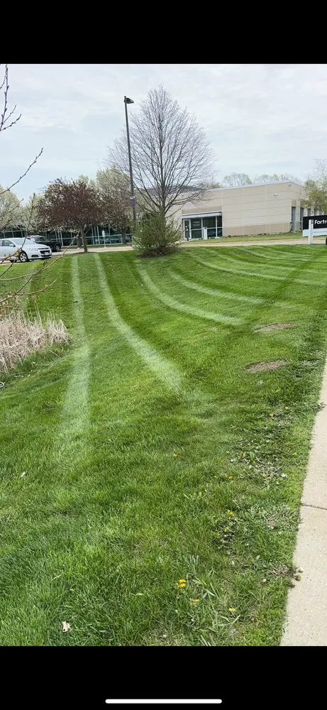 Local landscape design for outdoor upgrades in Madison, WI by Nicks Handy Services