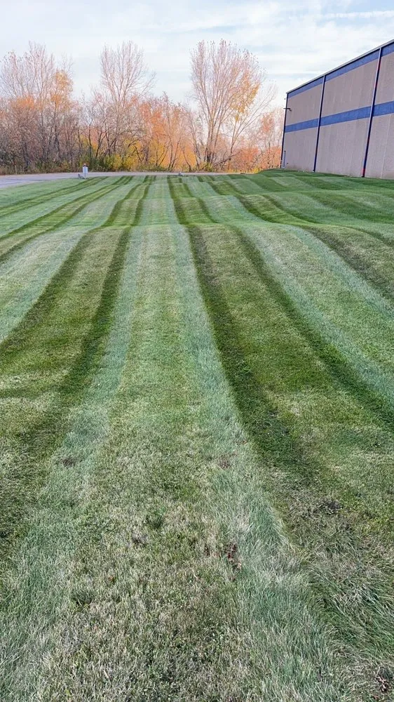 Local landscaping services for outdoor upgrades across Madison, WI - Nicks Handy Services