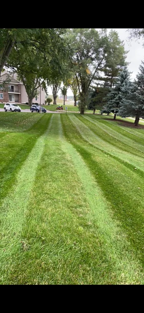 Top-rated landscape design for year-round maintenance in Madison, WI by Nicks Handy Services