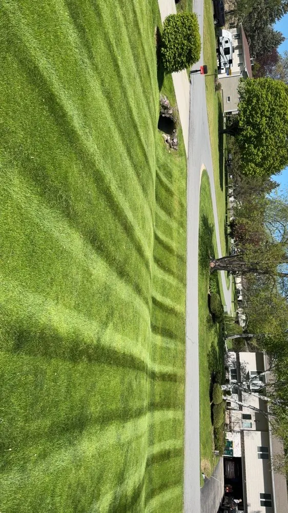 Professional lawn mowing service for beautiful yards across Madison, WI - Nicks Handy Services