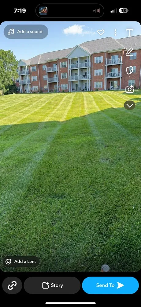 Local yard cleanup service in Madison, WI - Nicks Handy Services