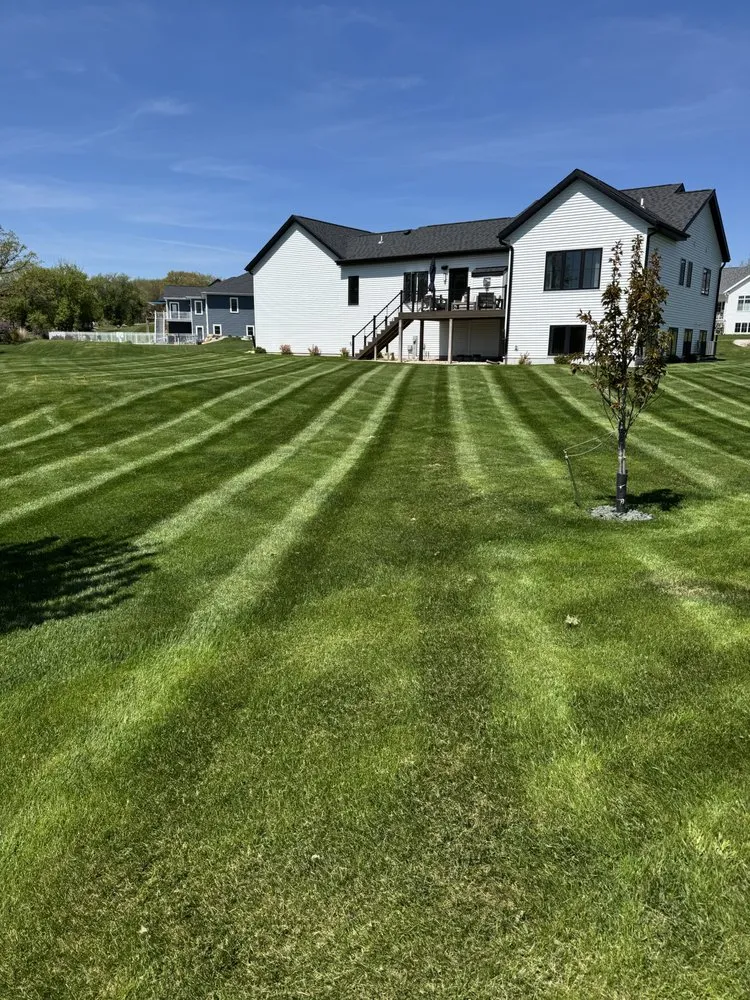 Affordable yard maintenance in Madison, WI by Nicks Handy Services