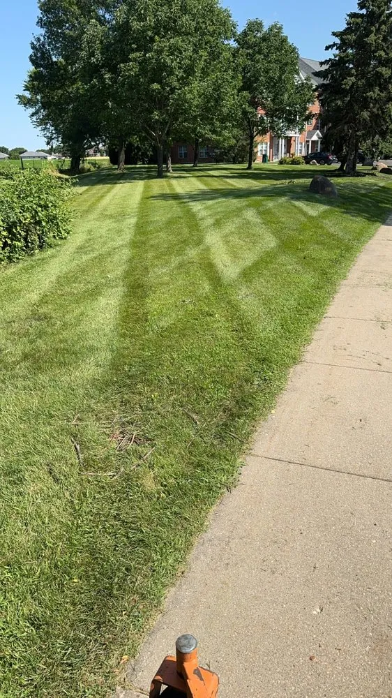 Professional yard maintenance for beautiful yards across Madison, WI - Nicks Handy Services