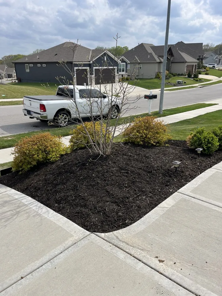 Custom yard cleanup service experts serving Basehor, KS - Nicks Handy Works
