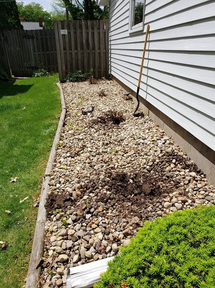 Affordable landscape design in Moline, IL - Nick's Home and Lawn Care