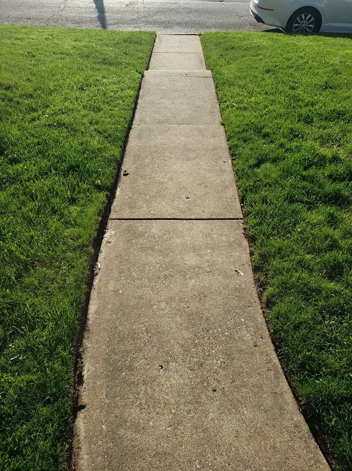 Trusted yard cleanup service experts serving Moline, IL - Nick's Home and Lawn Care