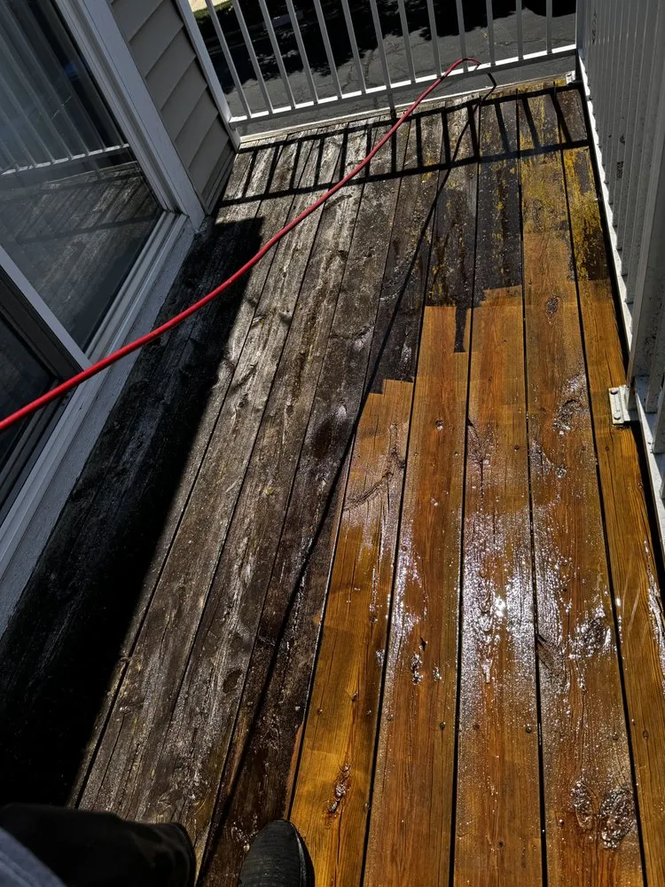 Reliable yard cleanup service in New Baltimore, MI - Nick’s Labor Service