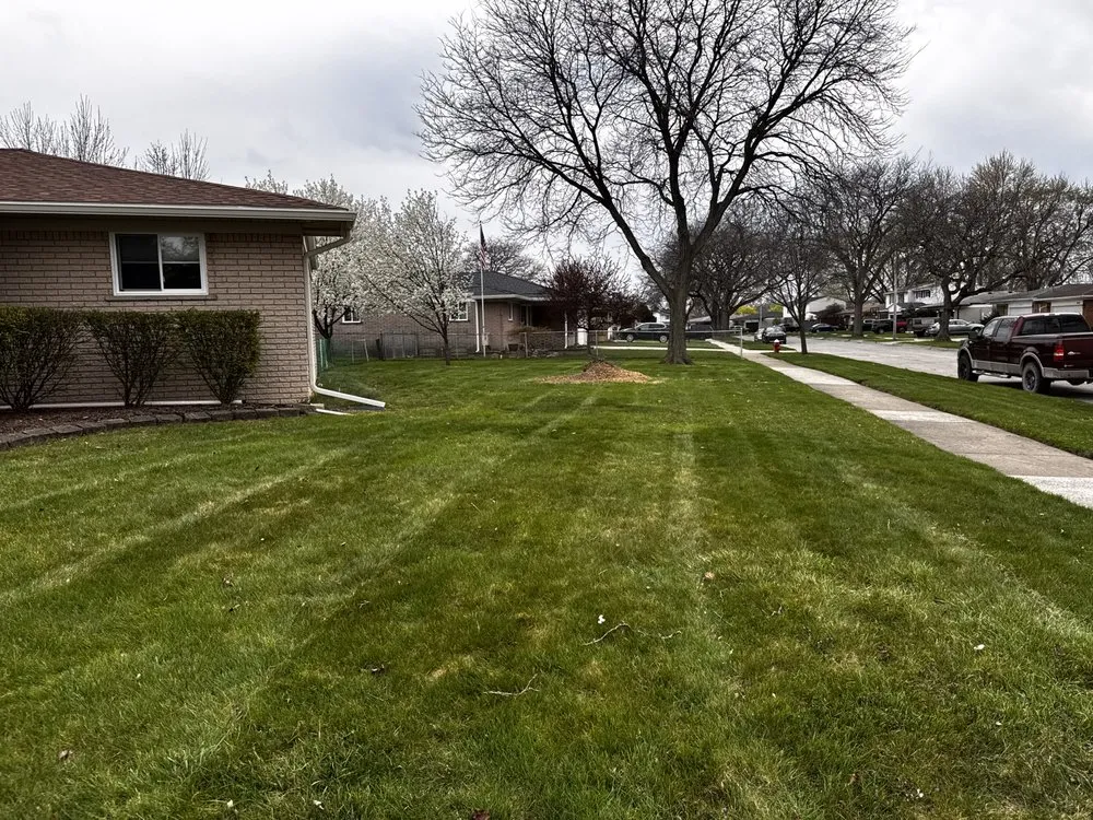 Trusted yard cleanup service in New Baltimore, MI - Nick’s Labor Service