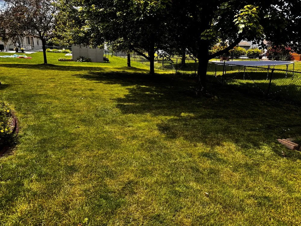 Reliable yard cleanup service experts serving New Baltimore, MI - Nick’s Labor Service