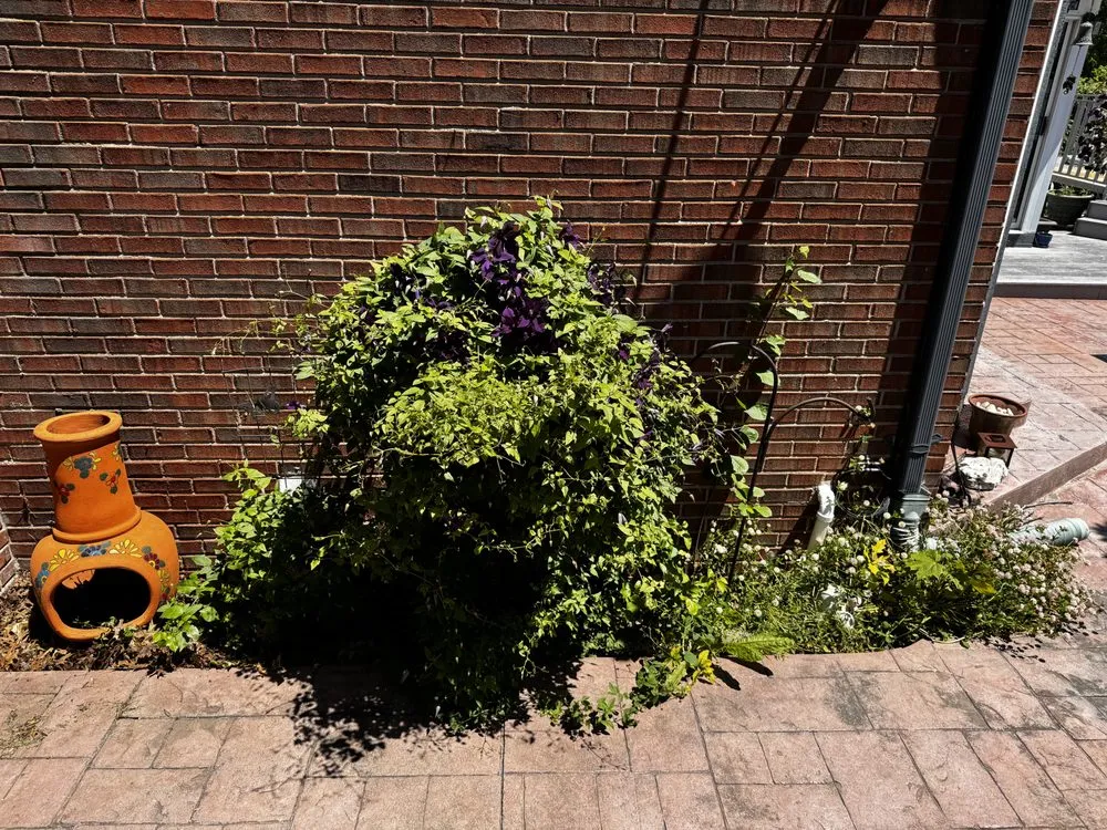 Affordable yard cleanup service for outdoor upgrades in New Baltimore, MI by Nick’s Labor Service