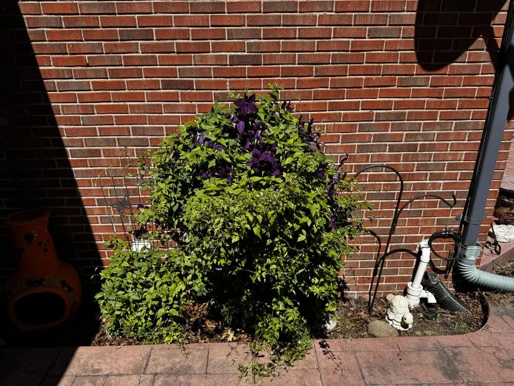 Reliable landscaping services experts serving New Baltimore, MI - Nick’s Labor Service