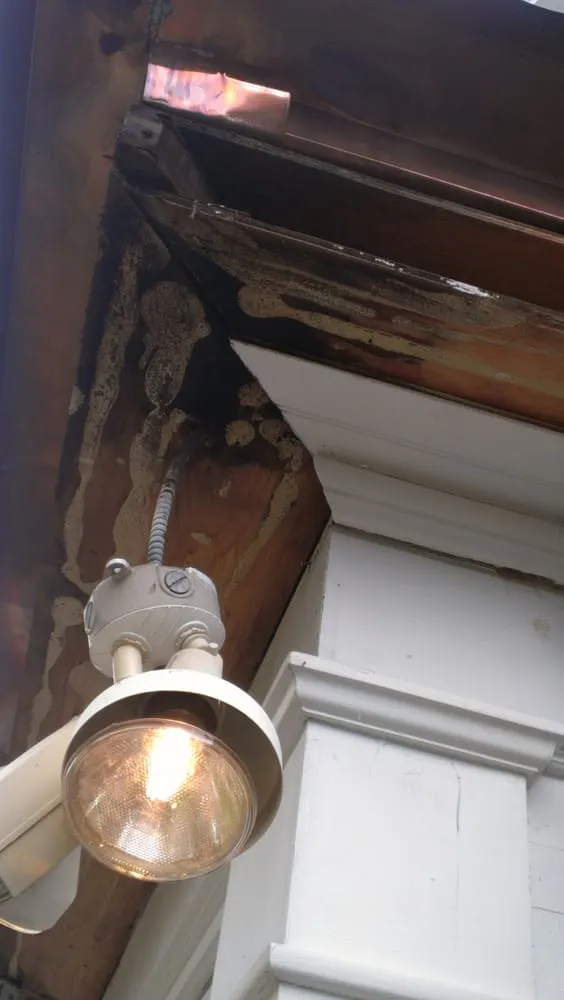 Affordable landscape installation in Montclair, NJ - Nick's Landscaping & Construction