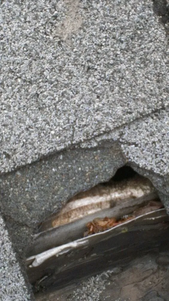 Custom lawn mowing service in Montclair, NJ - Nick's Landscaping & Construction