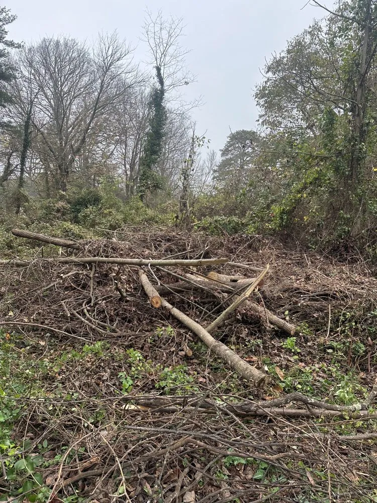 Reliable yard cleanup service in Hendersonville, NC by Nick's Landscaping & More