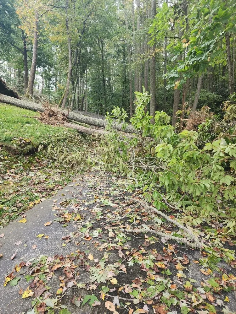 Custom outdoor landscaping in Hendersonville, NC by Nick's Landscaping & More