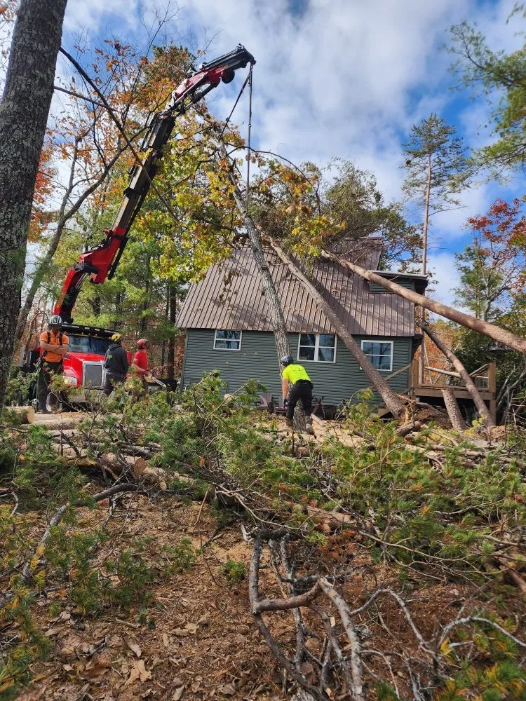 Professional garden landscaping for outdoor upgrades in Hendersonville, NC by Nick's Landscaping & More