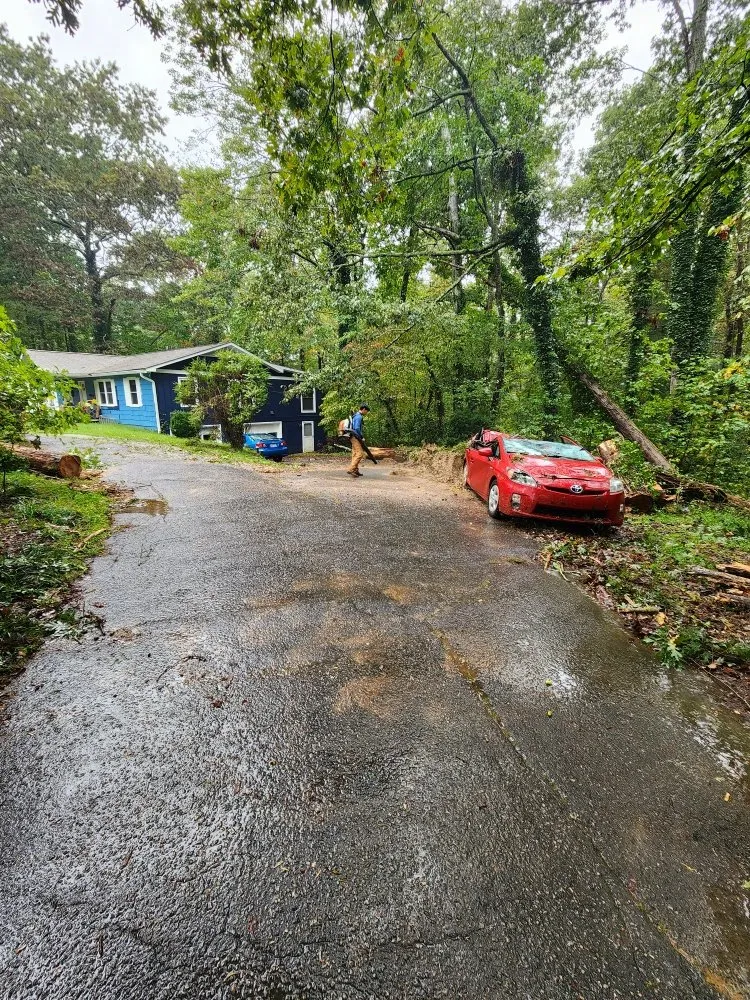 Local yard cleanup service experts serving Hendersonville, NC - Nick's Landscaping & More