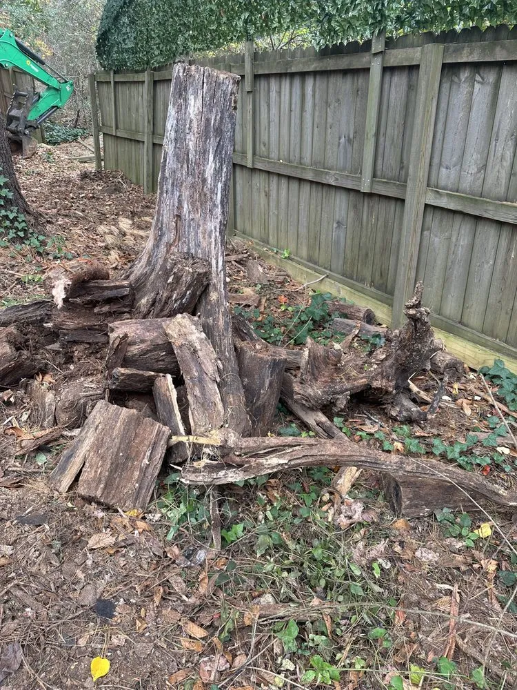 Affordable outdoor landscaping in Hendersonville, NC by Nick's Landscaping & More