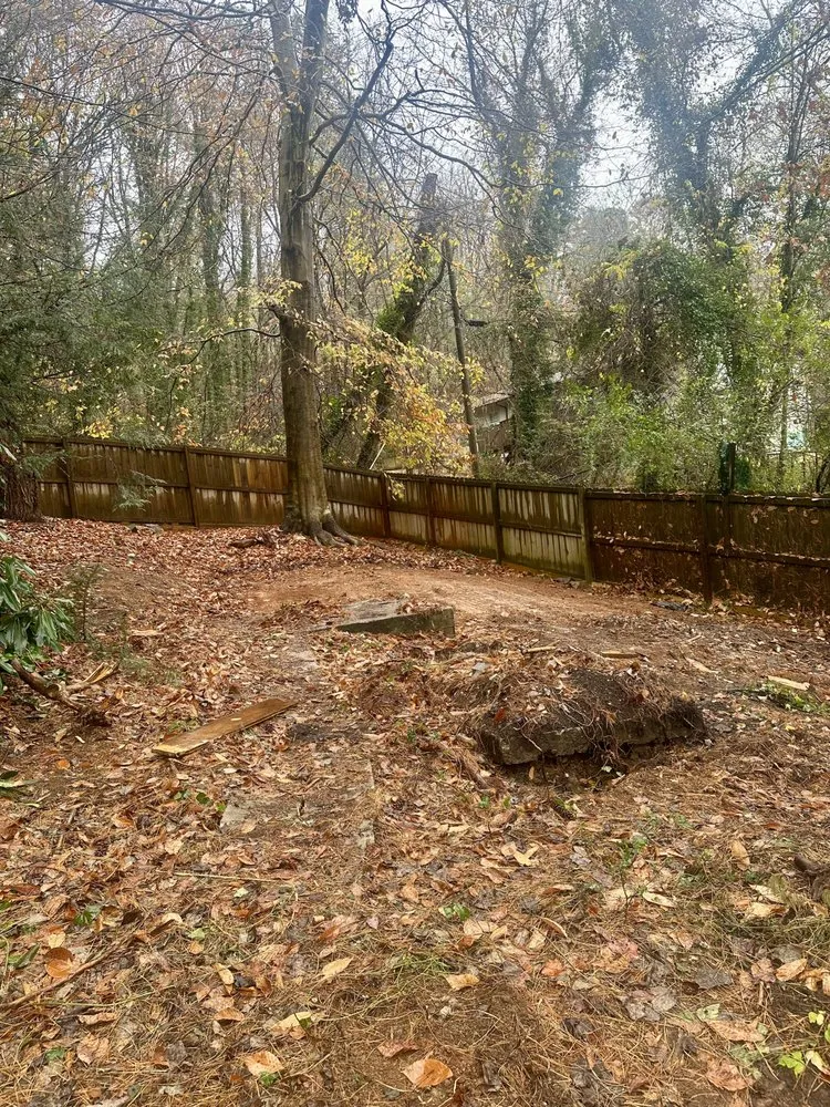 Professional residential landscaping for year-round maintenance in Hendersonville, NC by Nick's Landscaping & More