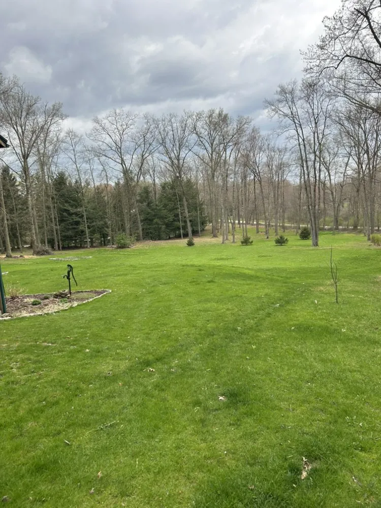 Top-rated yard cleanup service in New Castle, PA by Nick’s Landscaping and Firewood Service