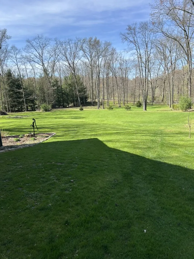 Professional lawn mowing service experts serving New Castle, PA - Nick’s Landscaping and Firewood Service