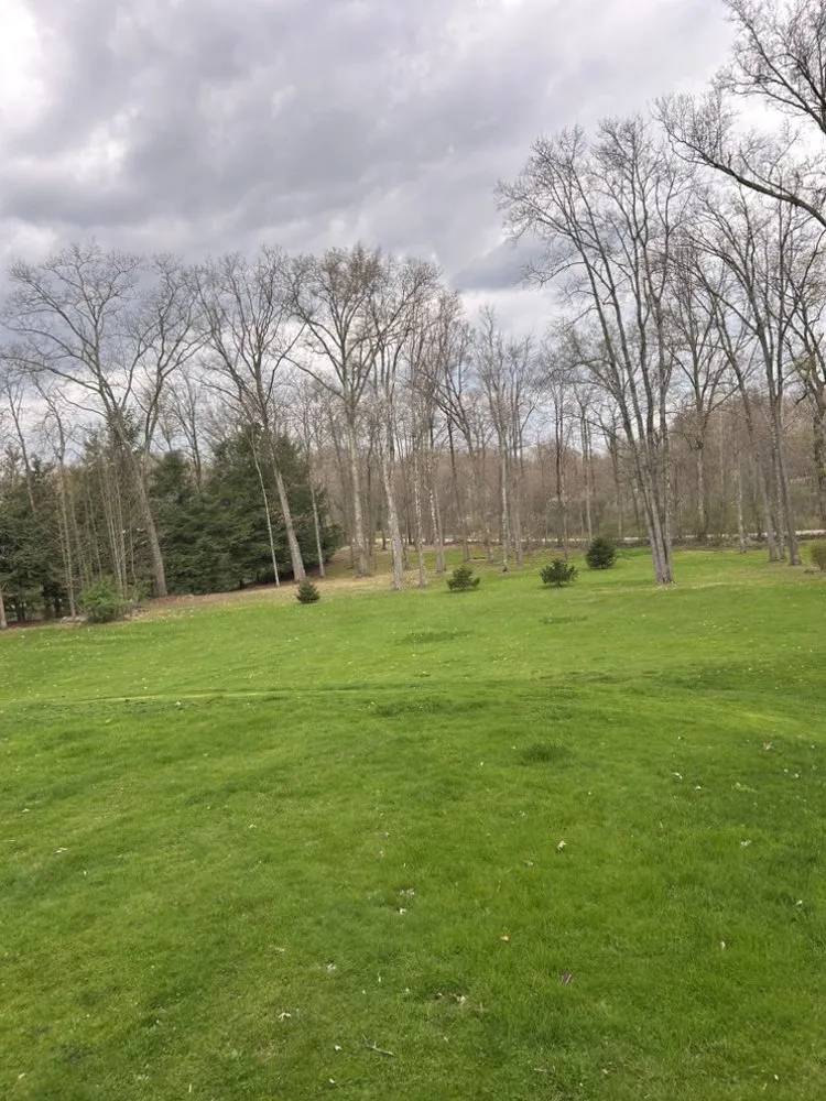 Trusted outdoor landscaping in New Castle, PA - Nick’s Landscaping and Firewood Service