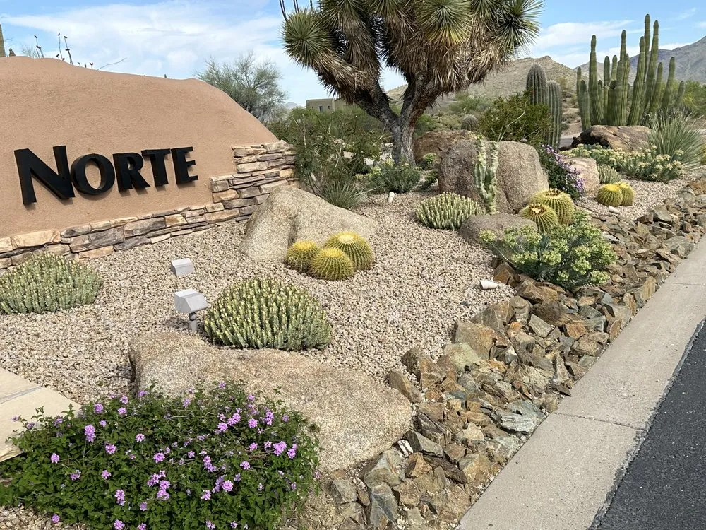 Professional yard cleanup service in Scottsdale, AZ - Nick's Landscaping