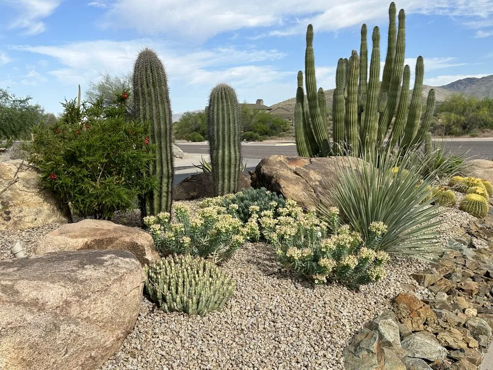 Reliable lawn mowing service for beautiful yards across Scottsdale, AZ - Nick's Landscaping