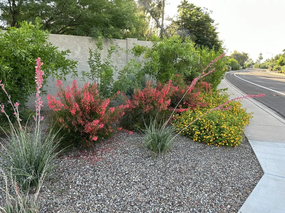Top-rated outdoor landscaping in Scottsdale, AZ - Nick's Landscaping
