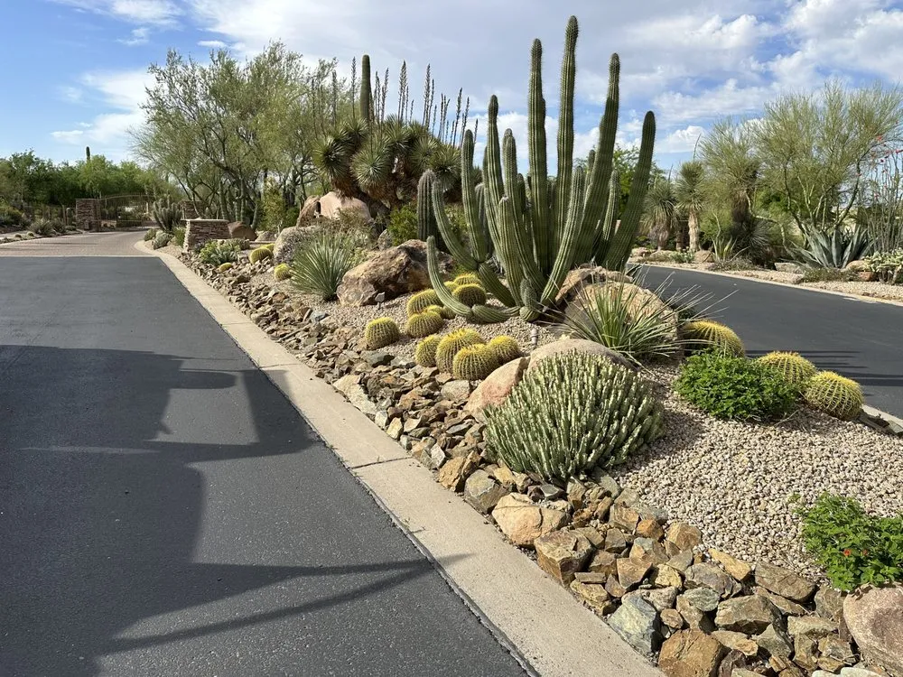 Local outdoor landscaping in Scottsdale, AZ - Nick's Landscaping