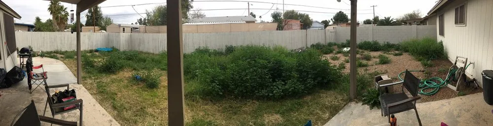 Local landscape design in Scottsdale, AZ by Nick's Landscaping