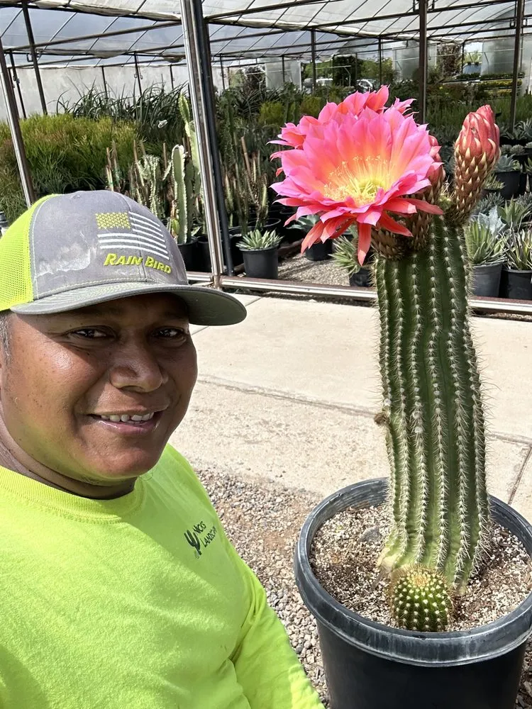 Professional landscape design in Scottsdale, AZ - Nick's Landscaping