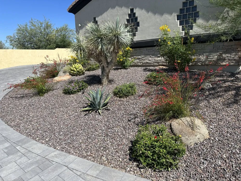 Custom yard maintenance for residential properties across Scottsdale, AZ - Nick's Landscaping