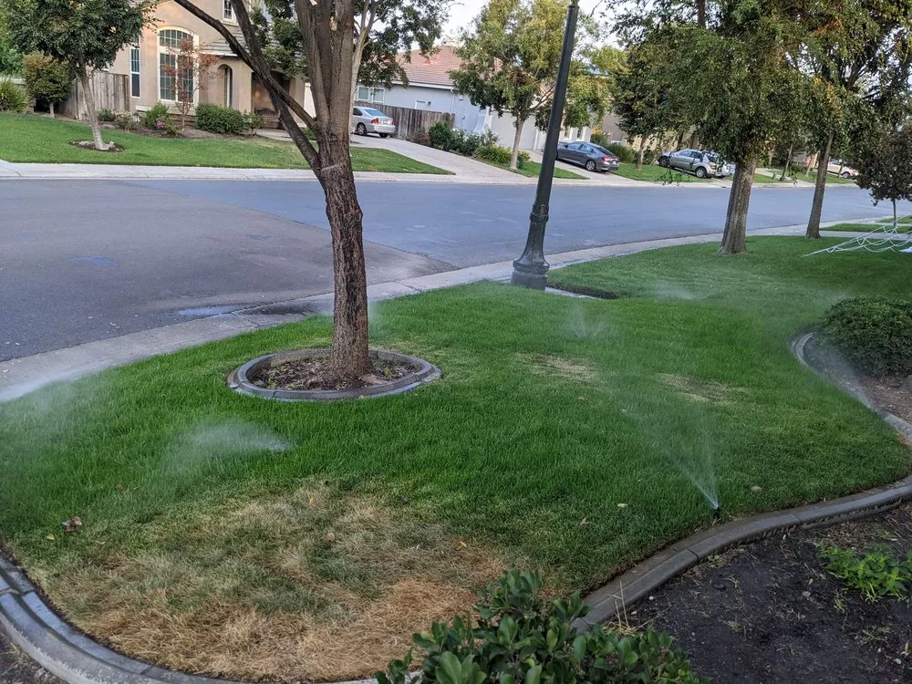 Top-rated landscape installation in Stockton, CA by Nick's Landscaping