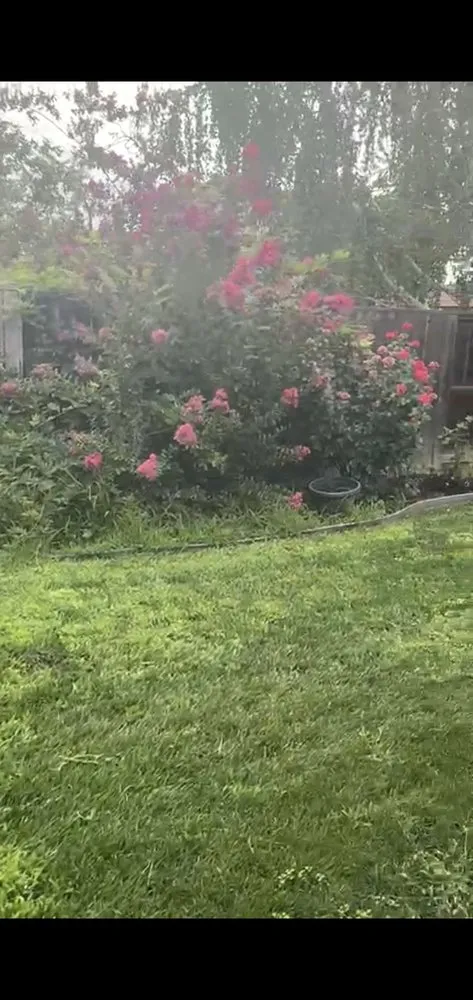 Professional residential landscaping in Stockton, CA by Nick's Landscaping