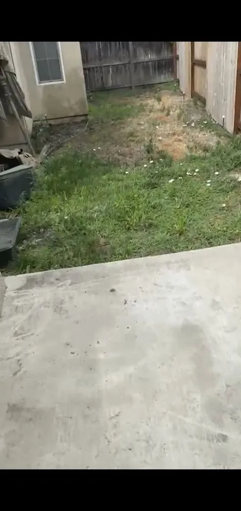 Reliable yard maintenance near you across Stockton, CA - Nick's Landscaping