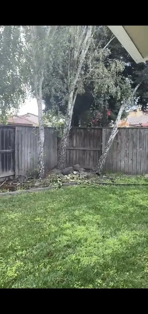 Affordable garden landscaping for beautiful yards across Stockton, CA - Nick's Landscaping